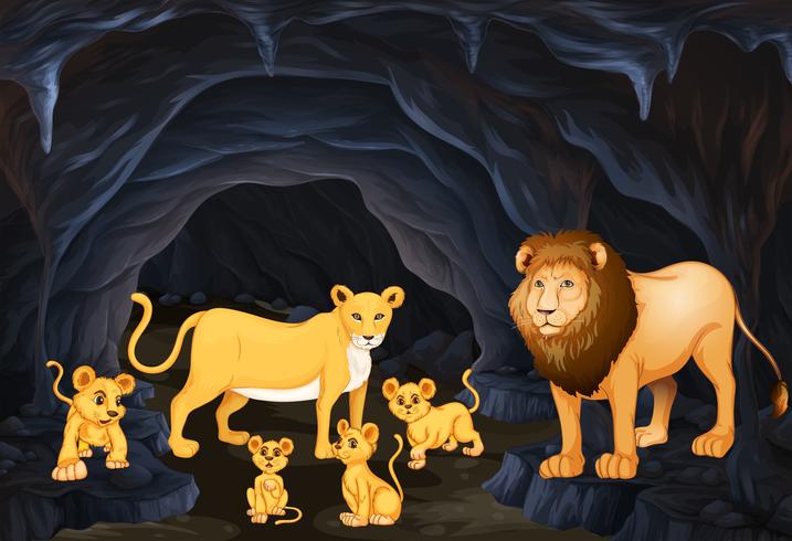 Lion family with four cubs vector