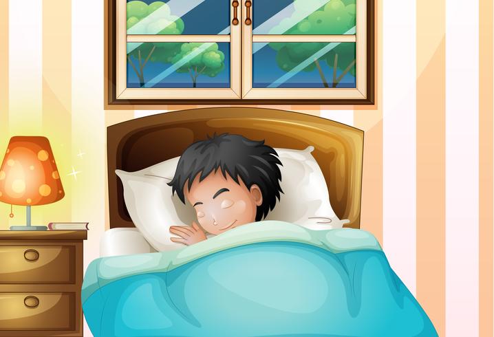 A boy sleeping soundly in his room vector