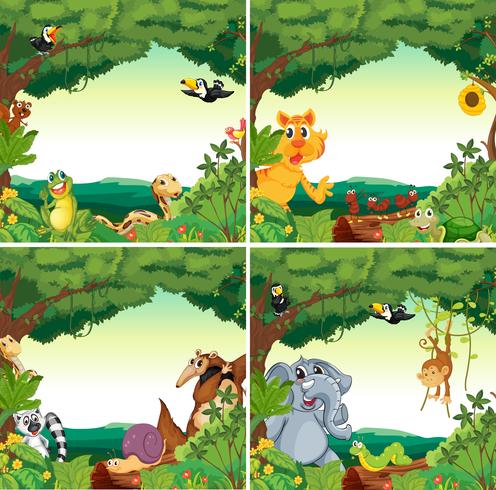 Animals and forests vector