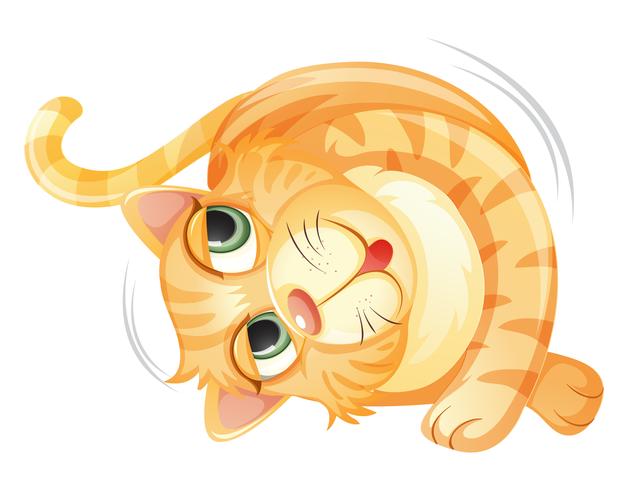 A rolling cat on white background vector