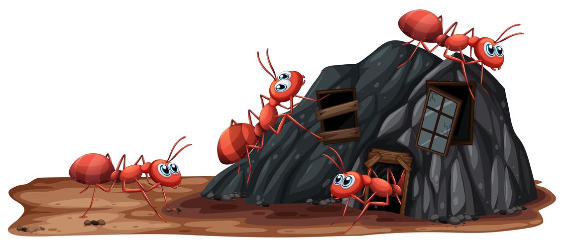 Worker Ants on White Background vector