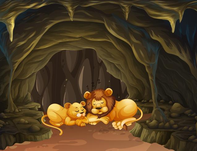 Dos leones durmiendo en la cueva. vector