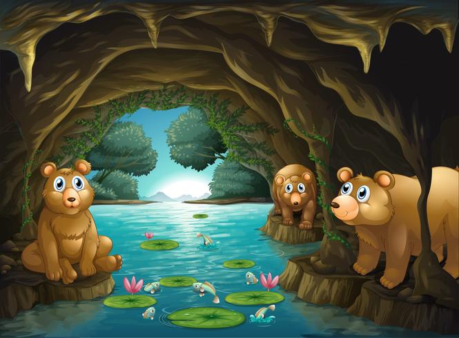 Tres osos viviendo en la cueva. vector