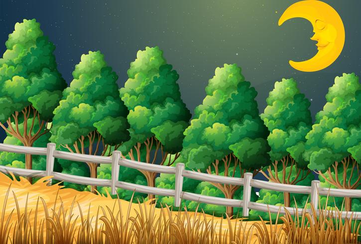 Un bosque con una luna dormida. vector