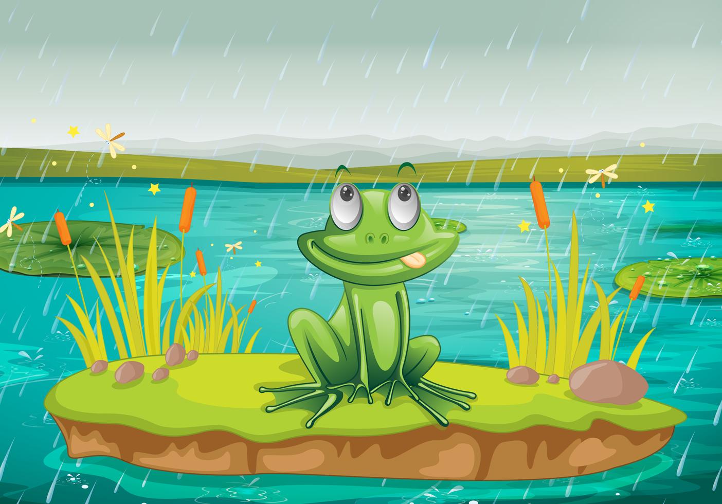 Frog on water 434298 Vector Art at Vecteezy