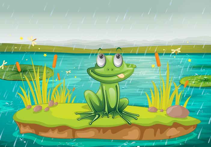 Frog on water vector