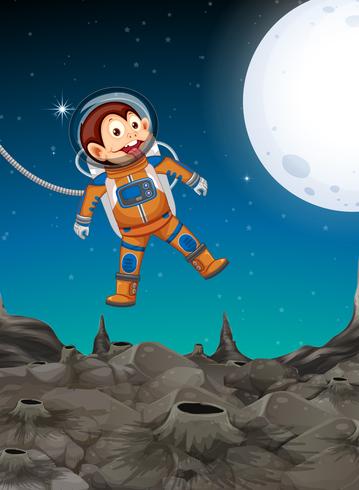 A monkey exploring the space vector