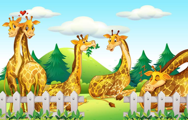 Giraffes in the safari vector