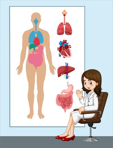 Doctor and anatomy chart vector