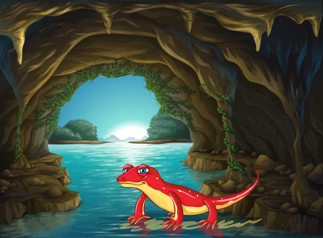 Lizard standing on water in the cave vector