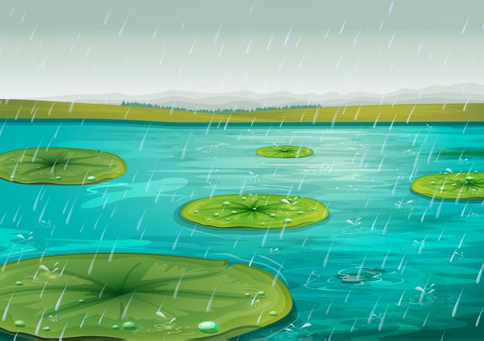 Rain on the pond vector