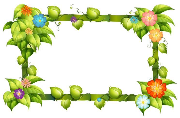 Flower frame vector