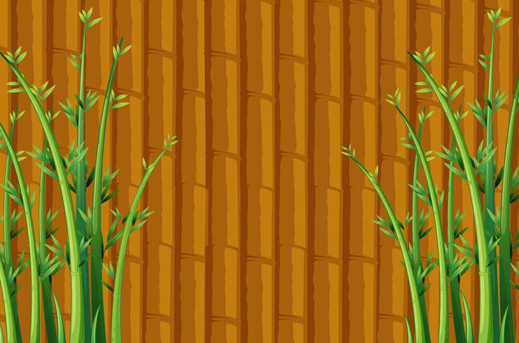 Bamboo vector