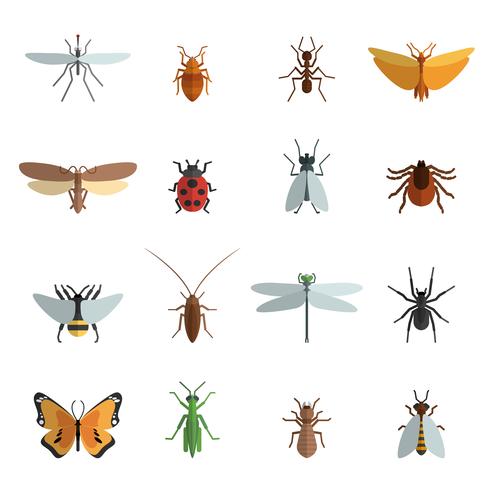 Icono de insecto plano vector