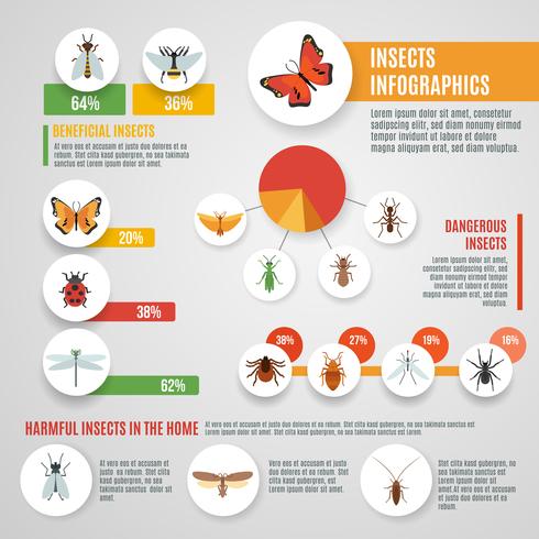 Insects Infographic Set vector