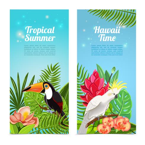 Conjunto de banners verticales de aves tropicales de la isla. vector