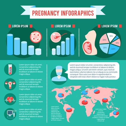 Embarazo Infografía Recién Nacido vector