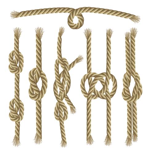 Knots Collection Set vector