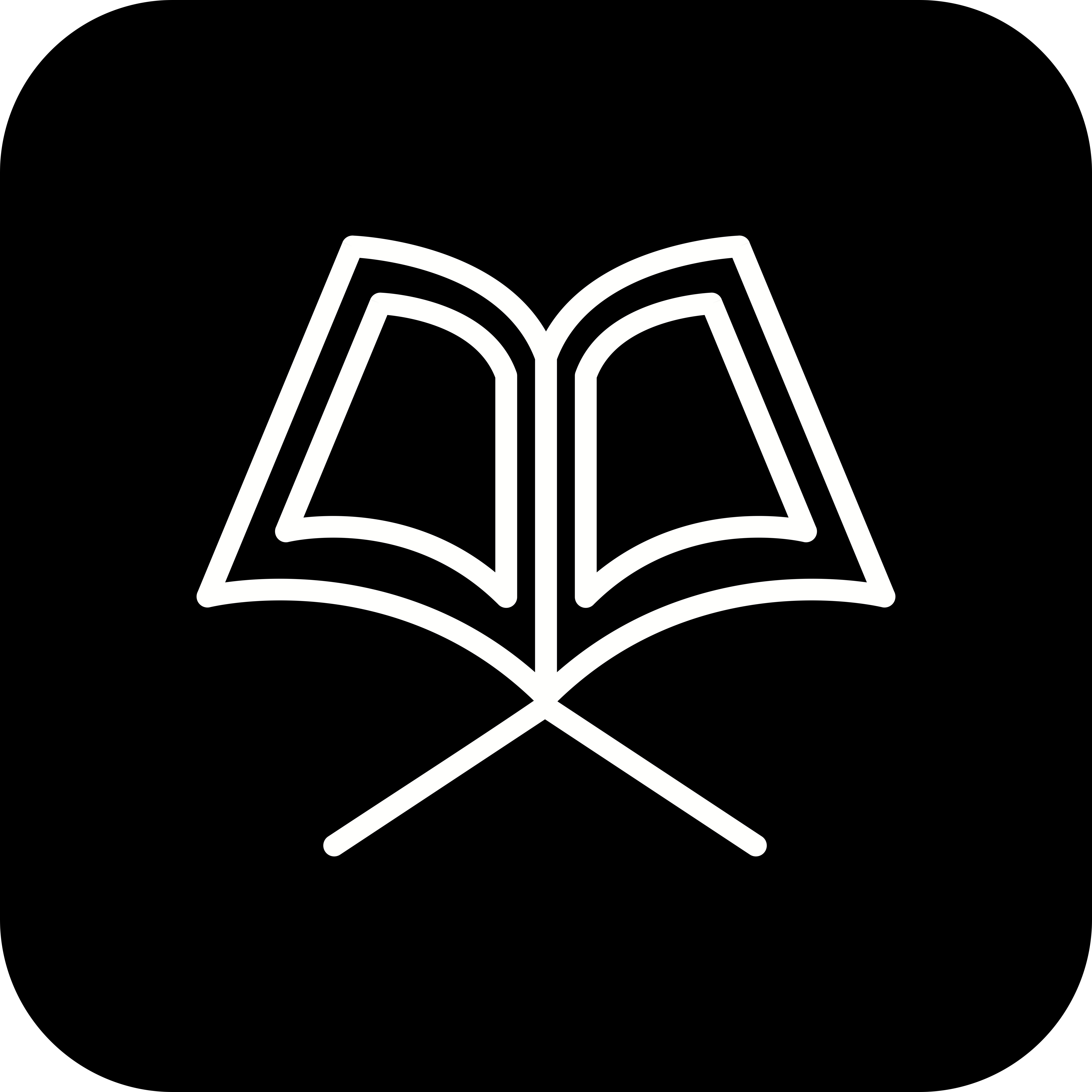 Vector Holy Quran Icon 435047 Vector Art at Vecteezy