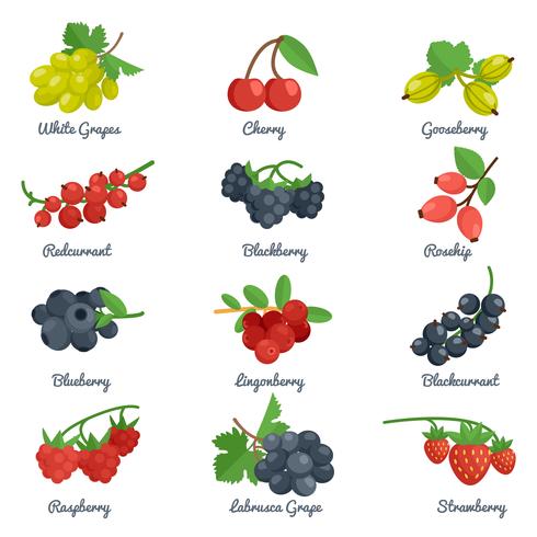 Berries Flat Icons Set vector