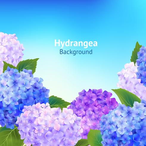 Hydrangea Flowers Background vector