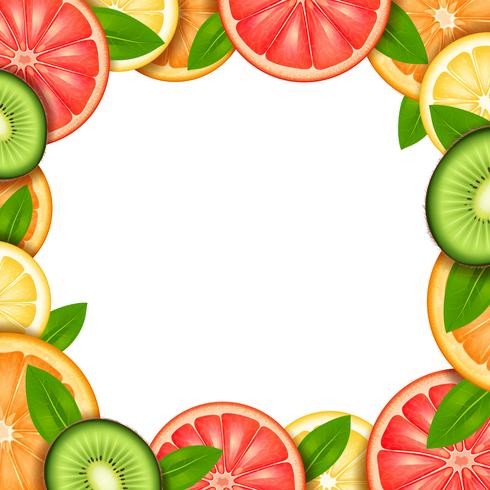 Ilustración de marco de fruta vector