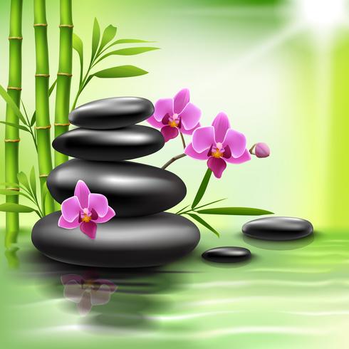 Realistic spa background vector