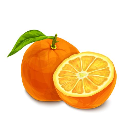 Orange isolated poster or emblem vector
