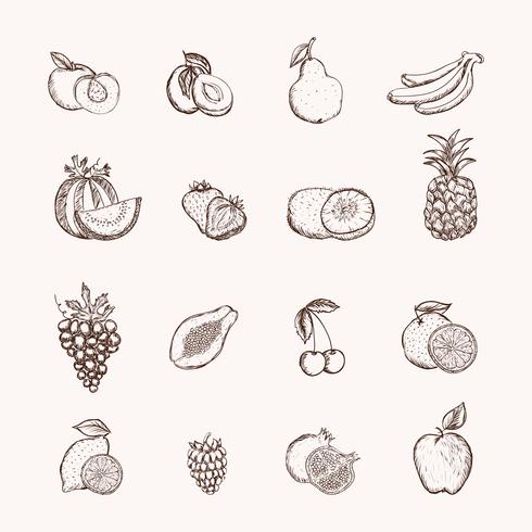 Conjunto de iconos de frutas vector