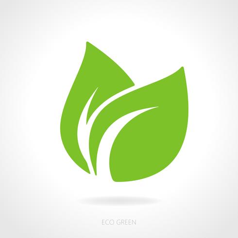 Concepto de hoja verde eco vector