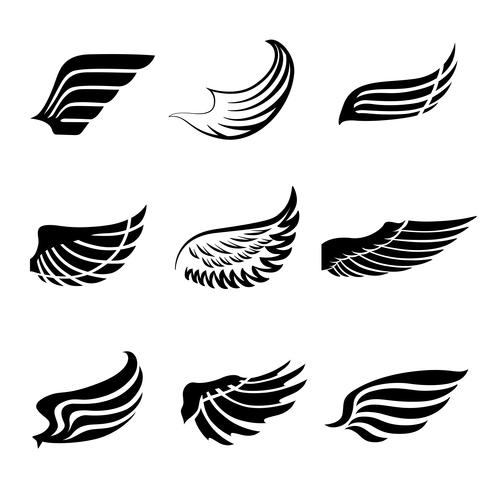 Abstract feather wings icons set vector