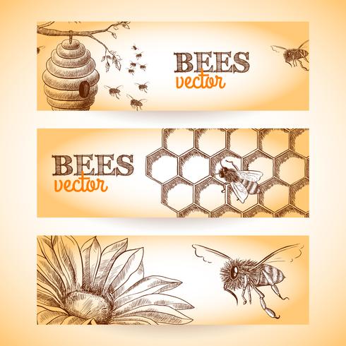 Bee banner sketch vector