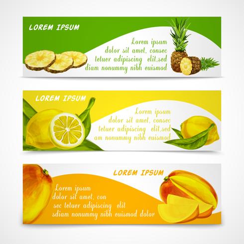 Tropical fruits banner set vector