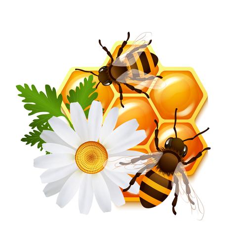 Honeycomb bee flowers emblem vector