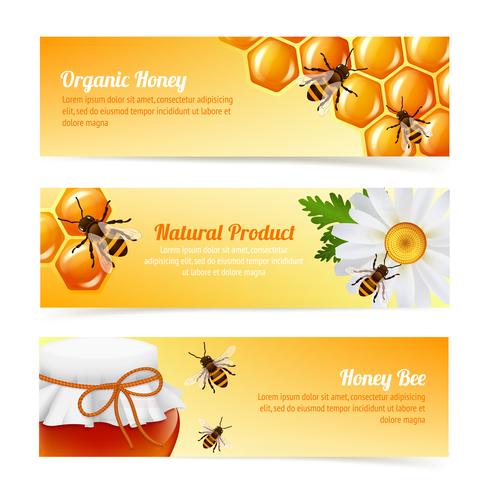 Honey bee banners vector