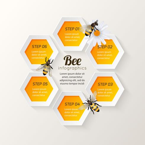 Pasos de infografía de abeja vector