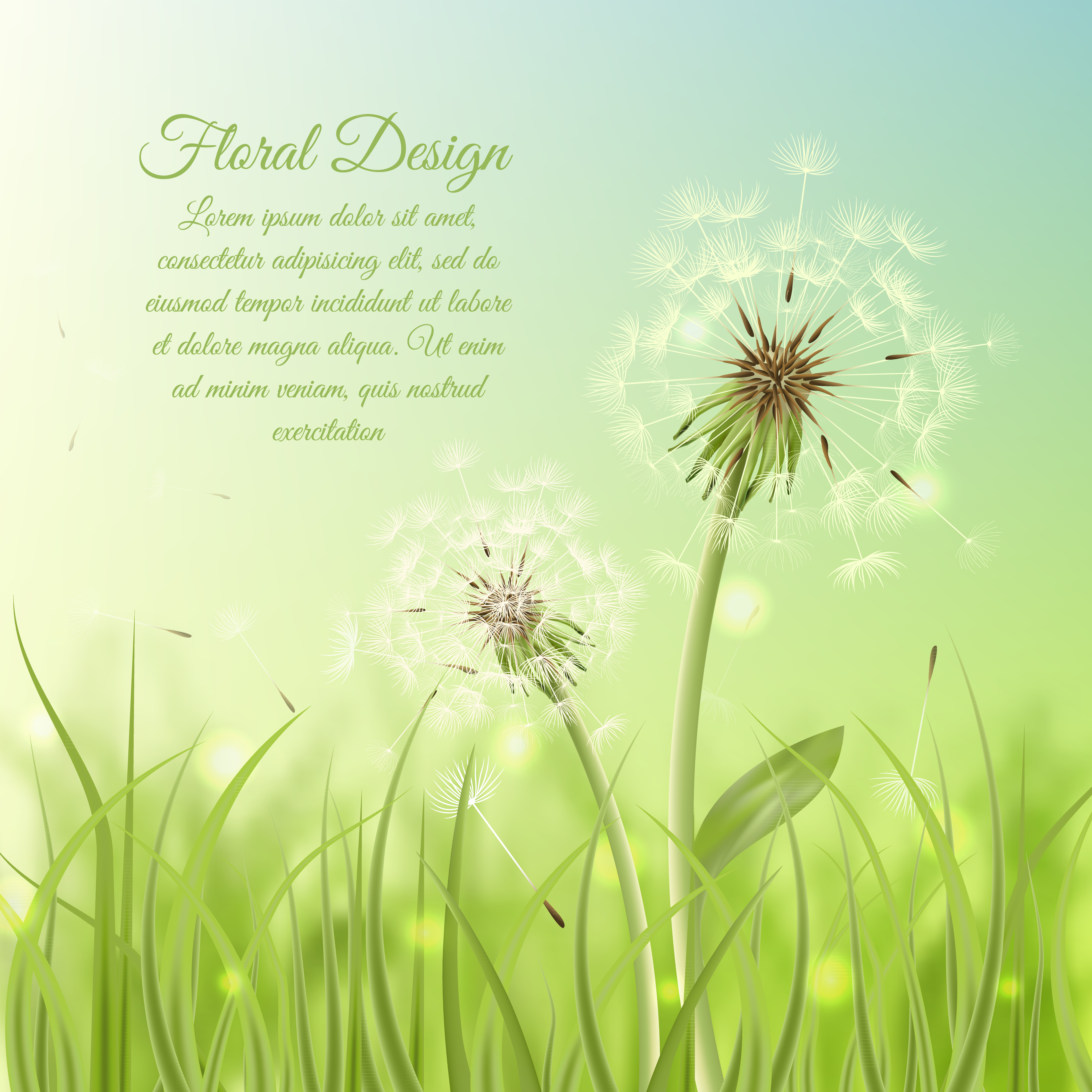 Floral design poster of dandelion 436959 - Download Free Vectors