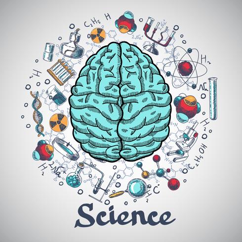 Cerebro bosquejo concepto de ciencia vector