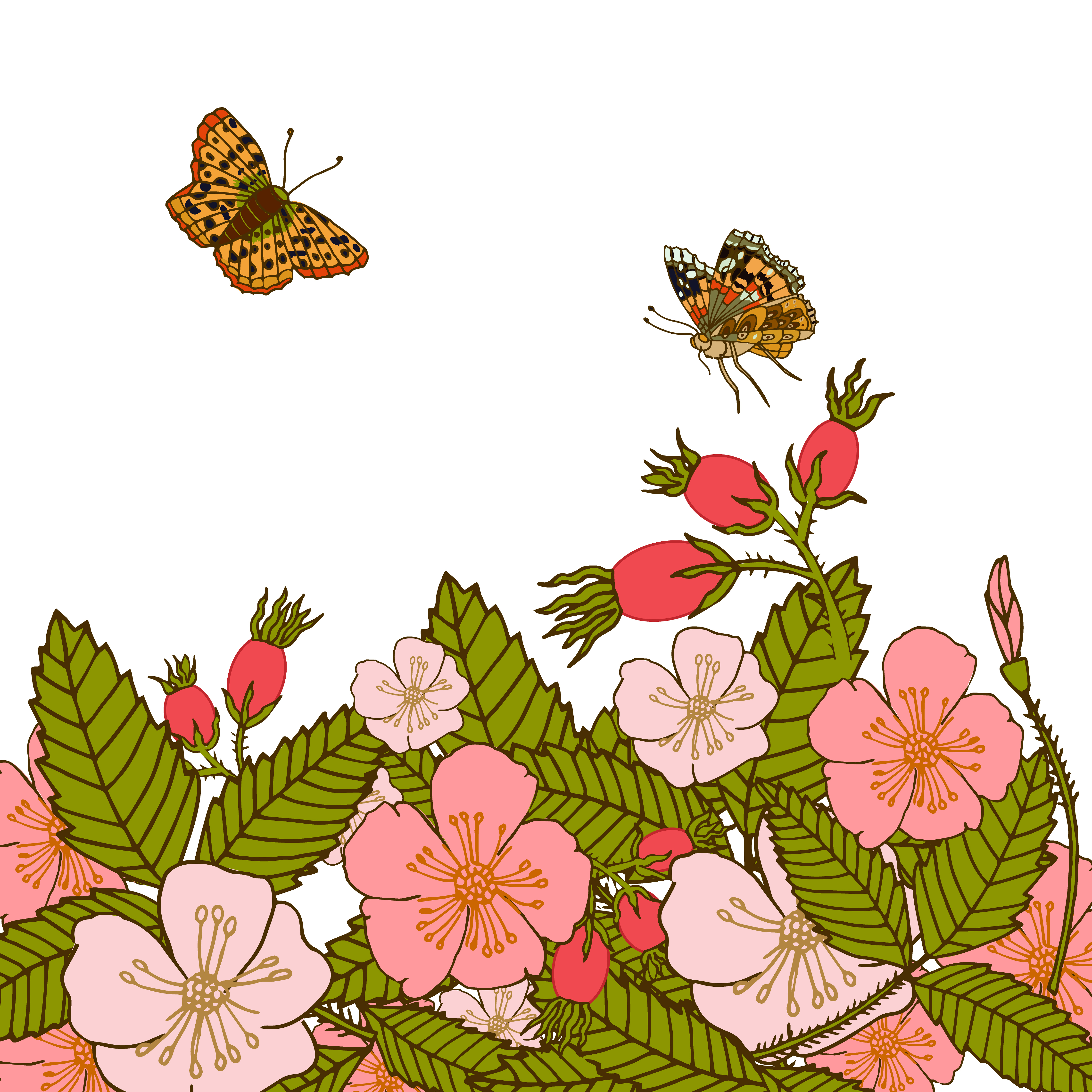 wallpapers Vintage Fondos De Mariposas Y Flores vecteezy