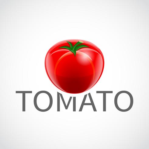 Cartel realista de tomate vector