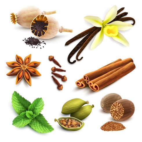 Herbs and spices set vector