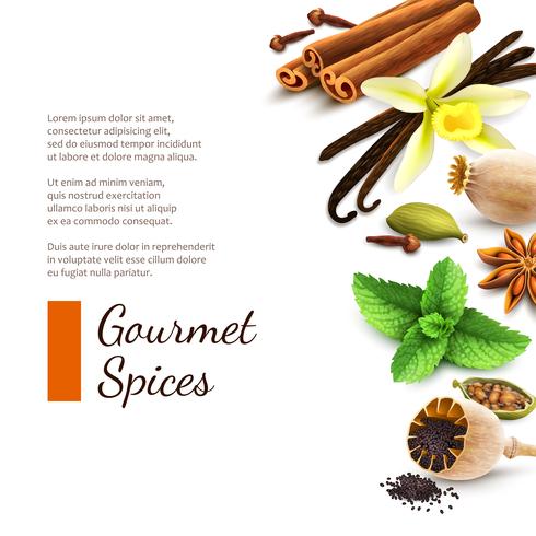 Spices on white background vector