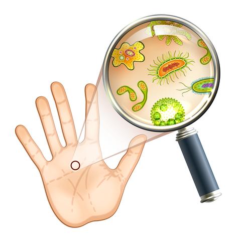 Magnifier bacteria and virus cells vector