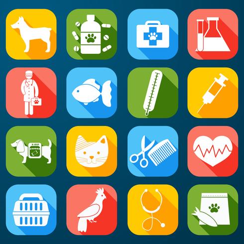 Veterinary Icons Set vector