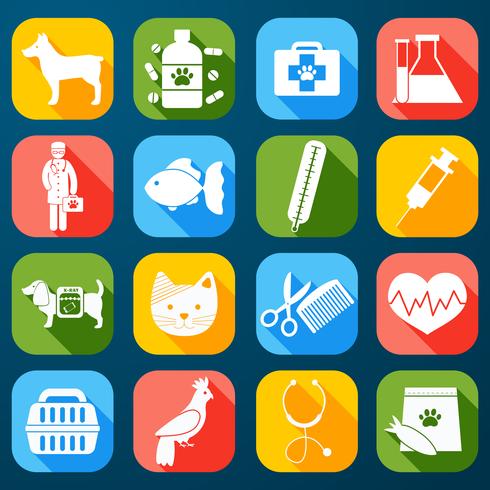 Conjunto de iconos veterinarios vector