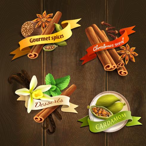 Spices badges set vector