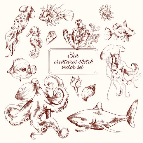 Sea creatures sketch vector