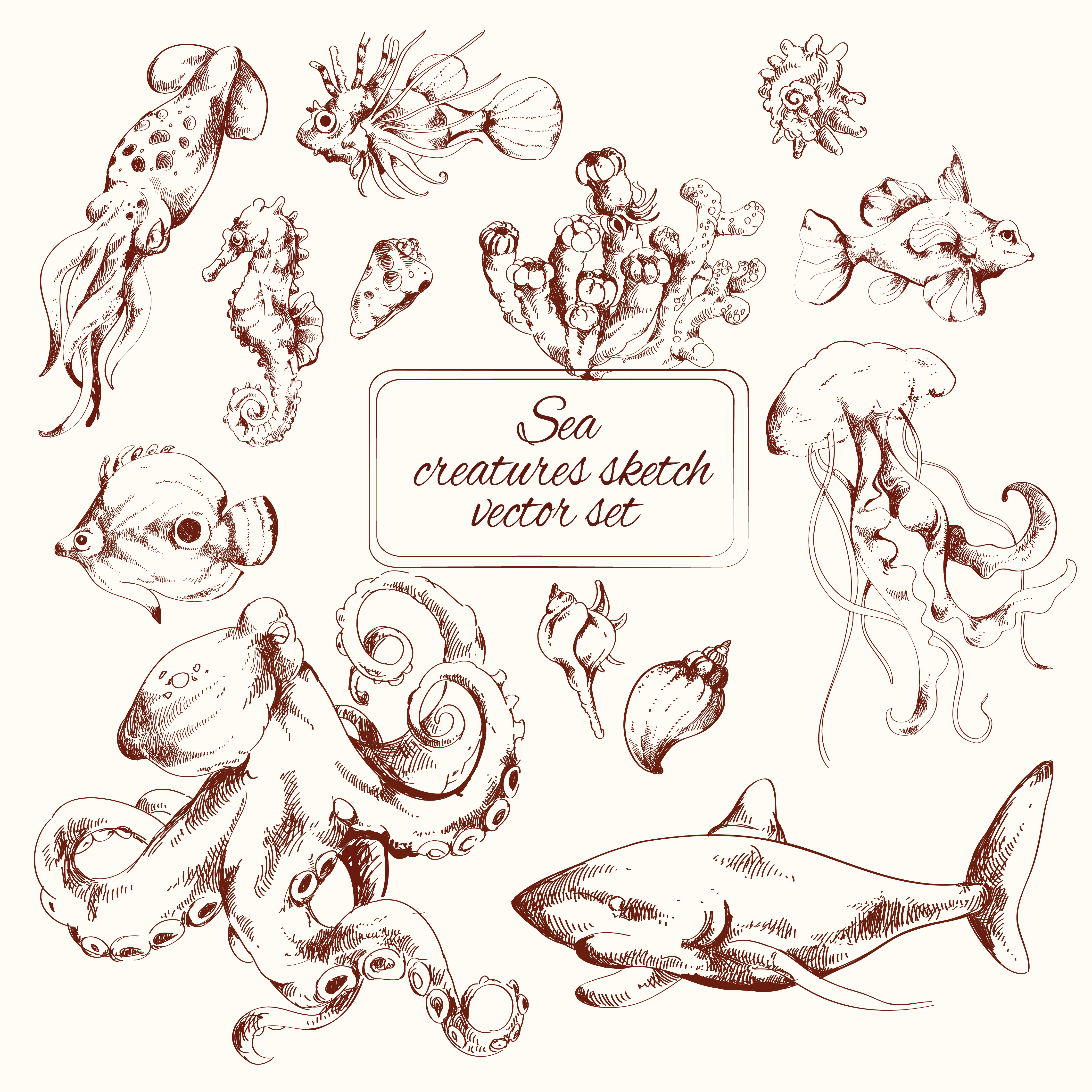 Sea creatures sketch 438530 Vector Art at Vecteezy