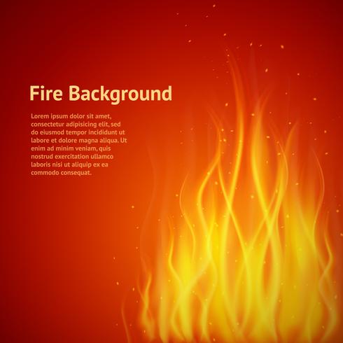 Flame red background vector