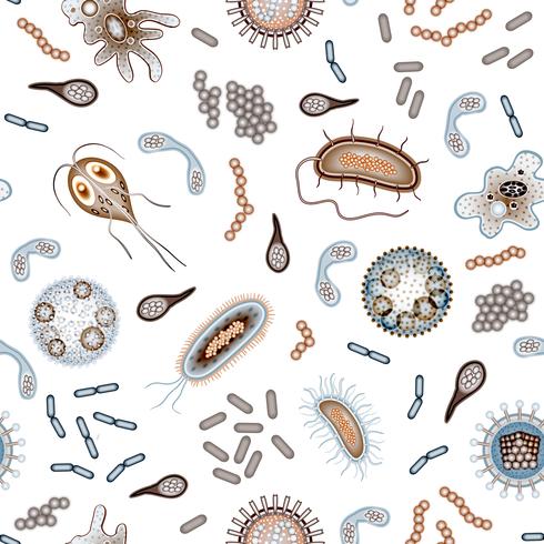 Bacteria and virus seamless pattern color vector